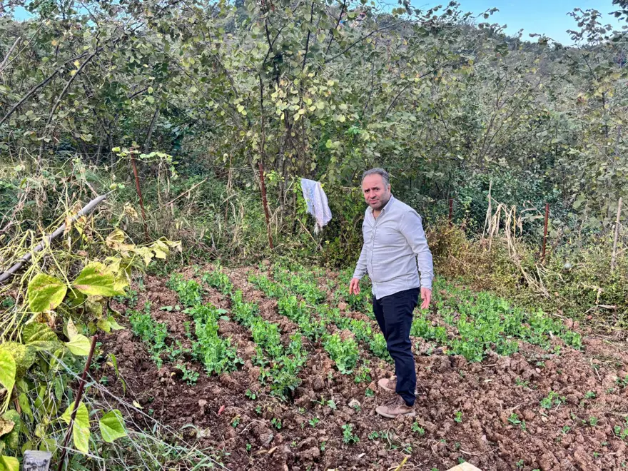 Balkonunda hobi olarak başlamıştı, ülkenin umudu oldu: "Alın yiyin çekirdeklerini bana getirin diyorum" 5