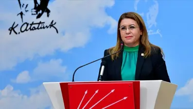 Gülizar Biçer Karaca kimdir? TBMM Başkanvekili Gülizar Biçer Karaca'nın biyografisi