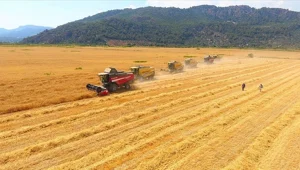 Tarımsal girdi fiyat endeksi, ağustosta yüzde 135 arttı Tarımsal girdi fiyat endeksi, ağustosta yüzde 135 arttı