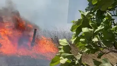 Kocaeli'nin Kandıra ilçesinde yangın