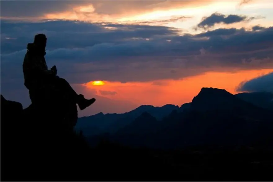 macera tatili, adrenalin turları, tatil önerisi, macera tutkunlarına tatil önerileri, köpek balıklarıyla yüzmek 3