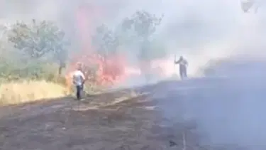 Çay için yakılan ateş fıstık ağaçlarını yaktı