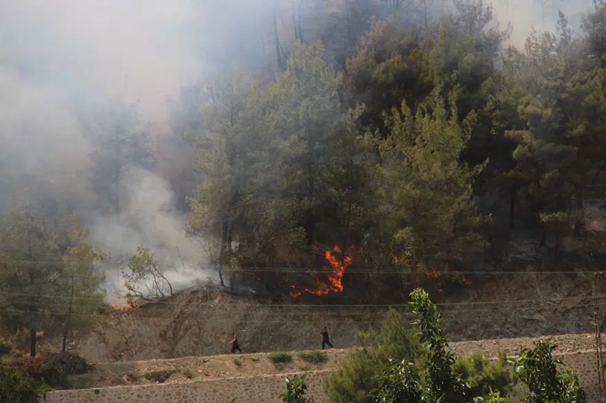 Hatay ve İzmir'de orman yangını 15 Hatay ve İzmir'de orman yangını 15