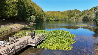Ordu'daki Ulugöl Tabiat Parkı'na yoğun ilgi