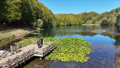 Ordu'daki Ulugöl Tabiat Parkı'na yoğun ilgi