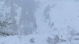 Doğu Karadeniz ve Doğu Anadolu'da çığ tehlikesi