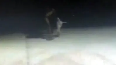 Köpeğine işkence yaptı, 'Boğazına kaçan şeyi çıkarıyordum' dedi