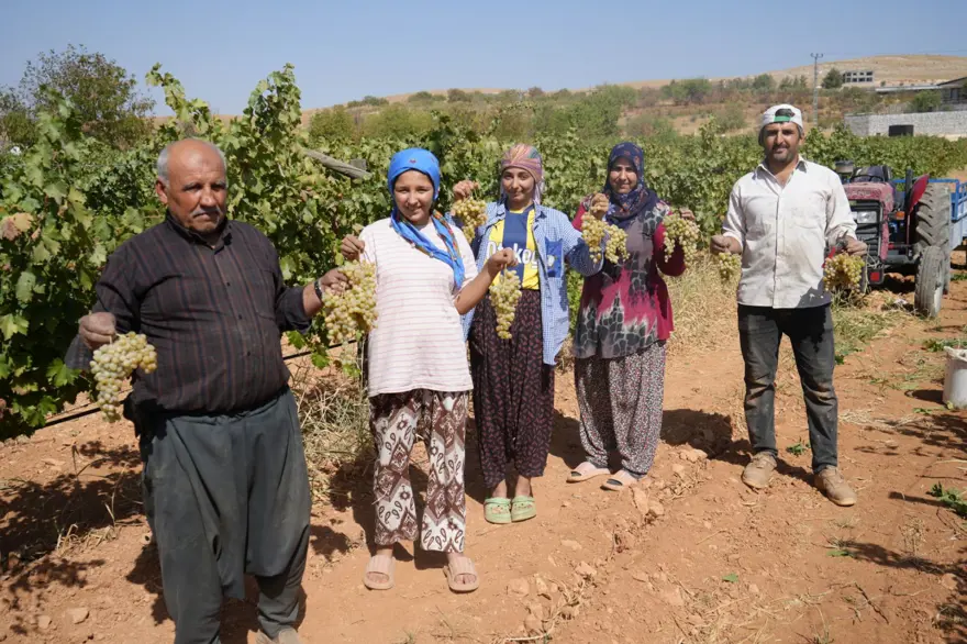 Üreticilere örnek oldu: Baba ve oğul yıllarca emek vererek kurdu 1 Üreticilere örnek oldu: Baba ve oğul yıllarca emek vererek kurdu 1