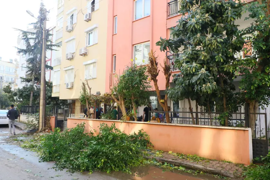 Ağaç budayan kişi mahallenin başına iş açtı: Elektronik cihazlar yandı, yangın çıktı 3