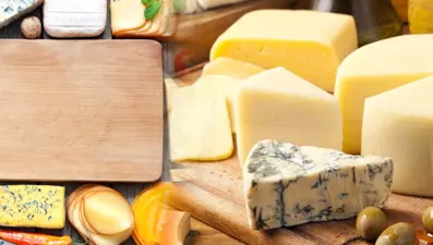 Hangi peynir ne zaman bozulur? (Çarşı Pazar Ekonomi)