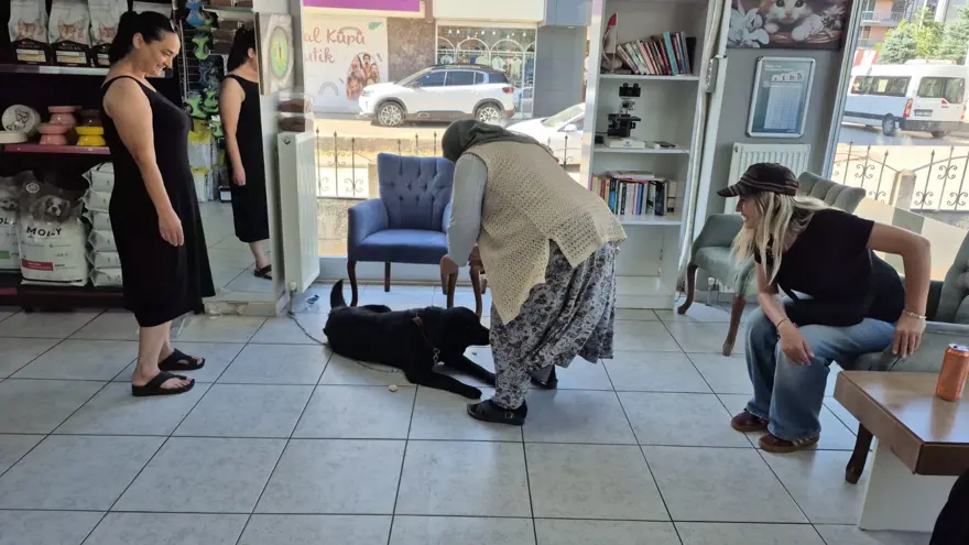 Barınağa götürülen köpeğine 1 yıl sonra kavuştu 3