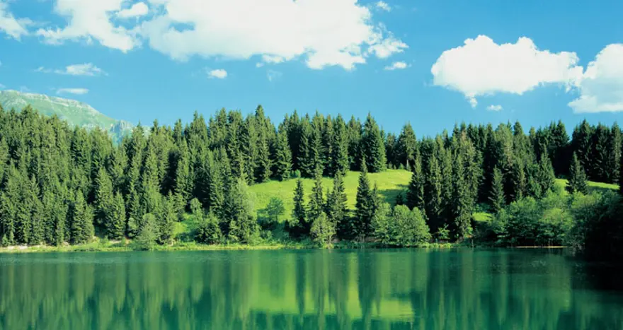 ARTVİN'İN HER KÖYÜ BİR YAYLA 46 ARTVİN'İN HER KÖYÜ BİR YAYLA 46