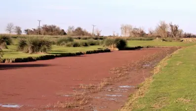 Kızılırmak'ta tedirgin eden renk değişimi: Kirlilik değil açıklaması