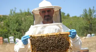 Kilosu 3 bin 500 liradan satılacak