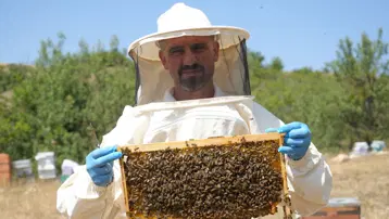 Rekolte 100 tona geriledi. Kilosu 3 bin 500 liradan satılacak