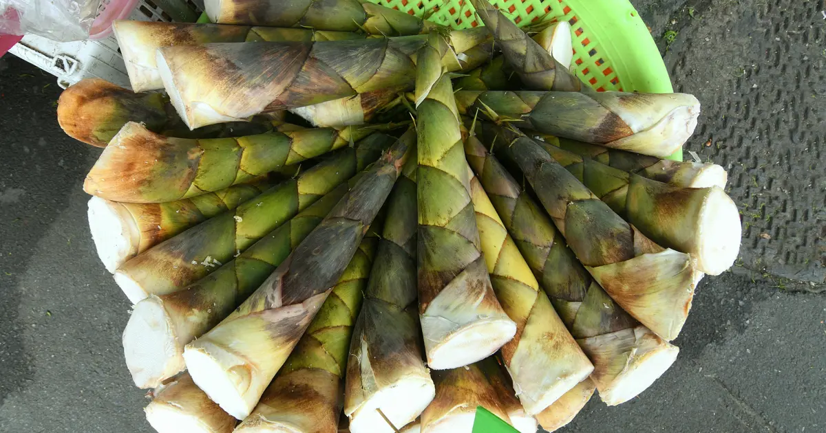 Kolon kanserine karşı Çinlilerin süper besini. Kaynatılarak yiyince doğal vitamin hapına dönüşüyor