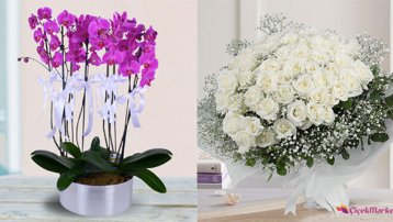 Ofise gönderilebilecek en şık 5 çiçek