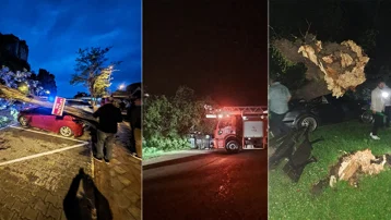 Fırtına yıktı geçti