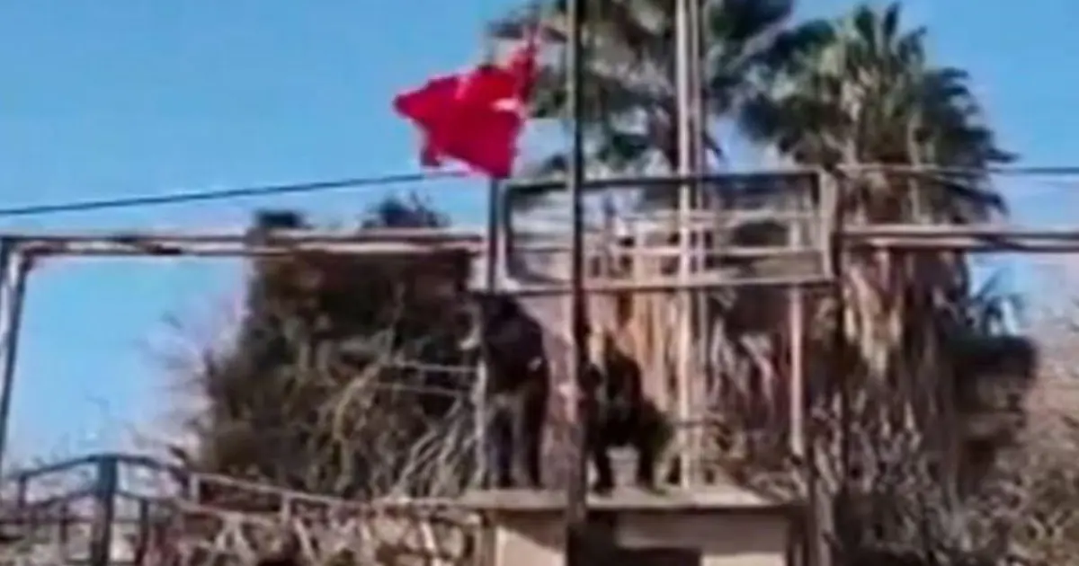 Bayrak indirme provokasyonu sonrası yeni önlem. Dev Türk bayrağı göndere çekildi