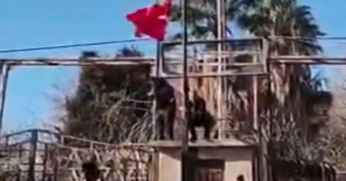 Son Dakika..Bayrak indirme provokasyonuna tepkiler çığ gibi.  "Hain saldırı karşılık bulacaktır"