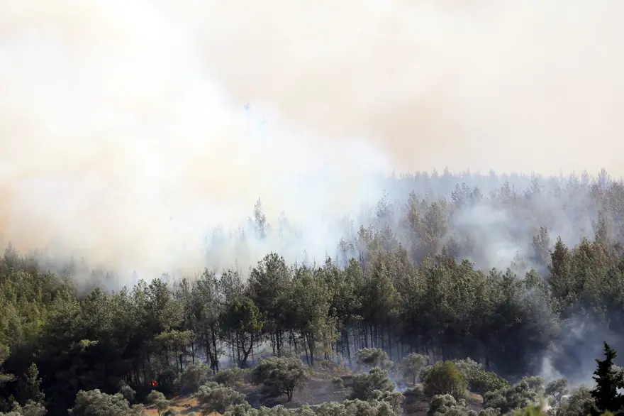 İzmir, Muğla, Balıkesir ve Kahramanmaraş’ta orman yangınları 10