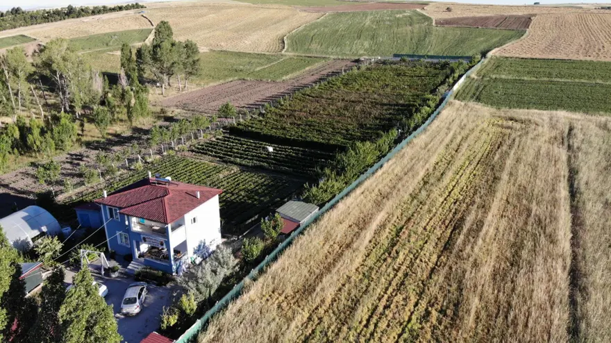 3 yıl önce hobi olarak başladı şimdi paraya para demiyor! Kilosu 150 liradan satılıyor, bahçenin önünde kuyruk oluyor 2