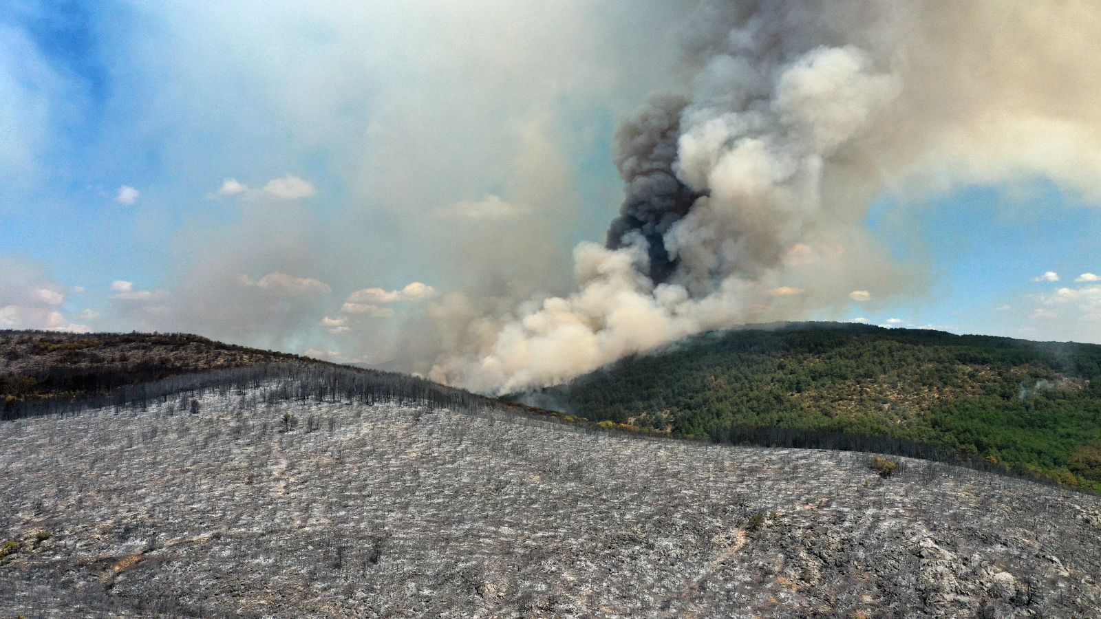 Karabük ve Kastamonu'da yangınlar kontrol altında