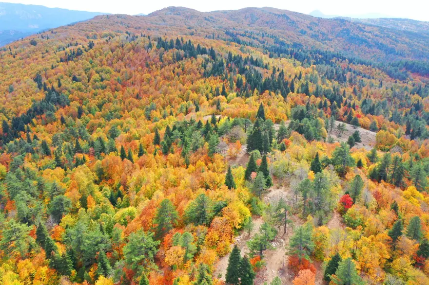 Kahramanmaraş'taki Akifiye Yaylası'na sonbaharın renkleri hakim oldu 4
