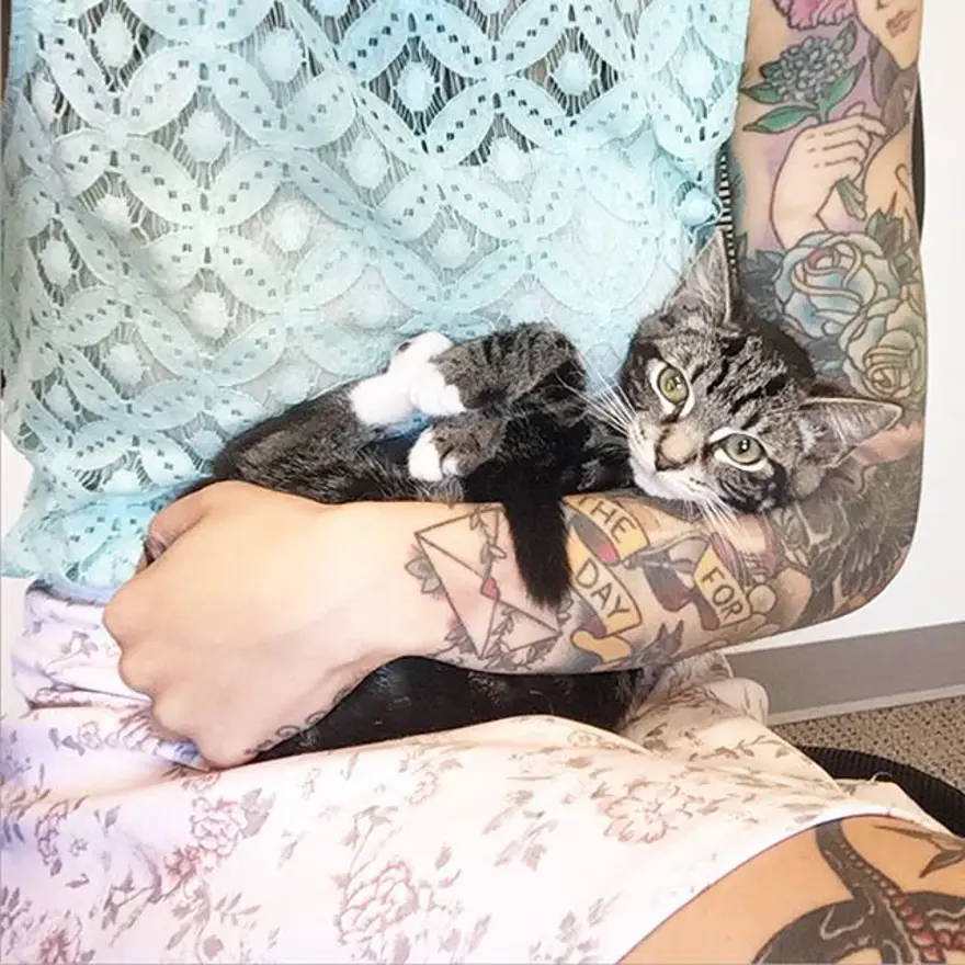 Hayatını kedileri kurtarmaya adadı 246