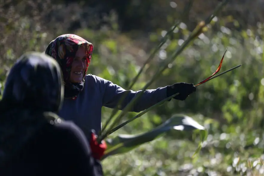 150yıllık mengenede sıkılan şeker kamışlarının pekmez yolculuğu 12 150yıllık mengenede sıkılan şeker kamışlarının pekmez yolculuğu 12