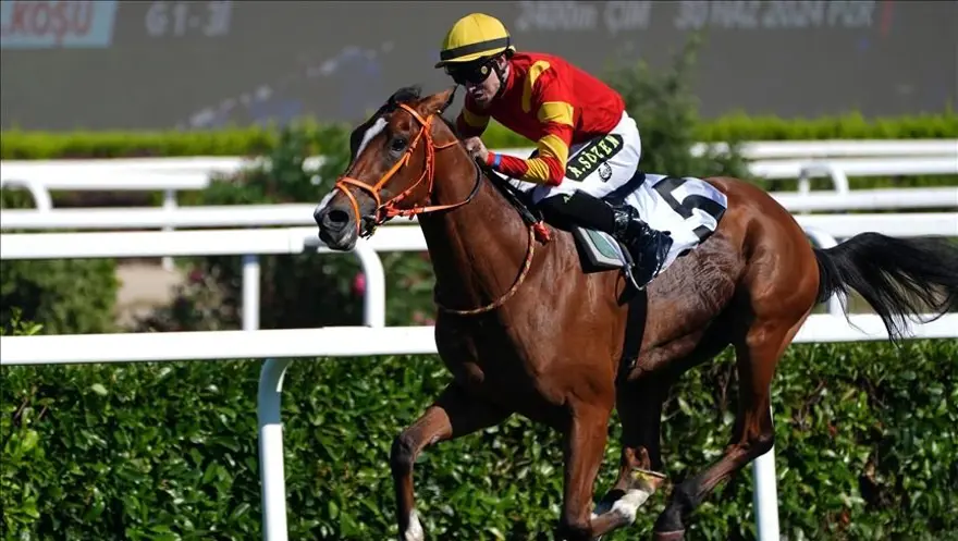 GAZİ KOŞUSU HAKKINDA 3