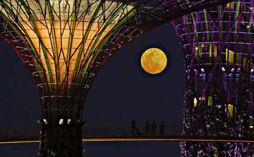 Singapur 9 Singapur 9