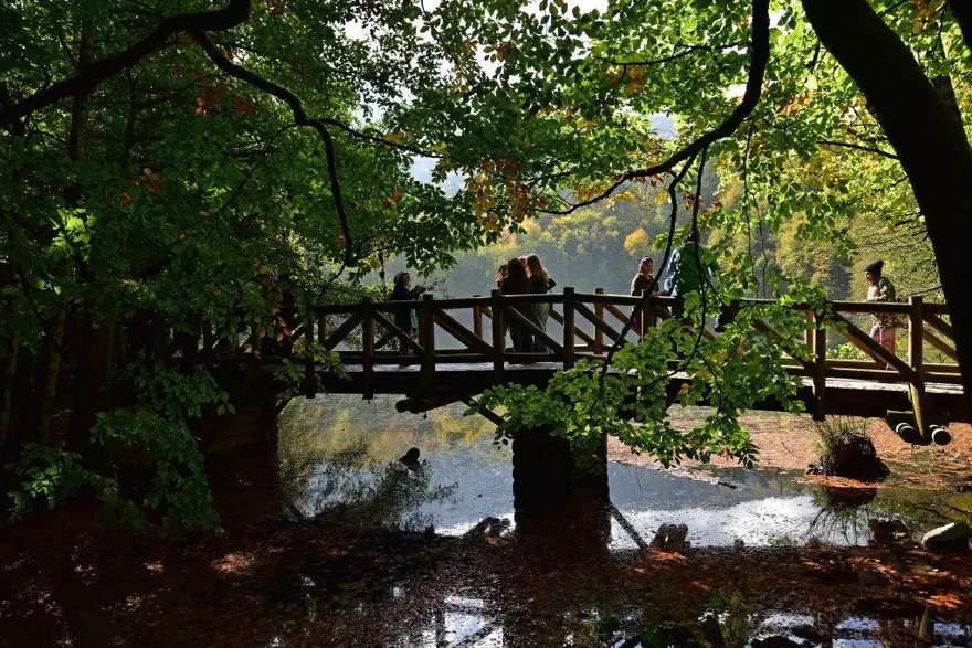 yedigöller milli parkı, sonbahar, Gölcük Tabiat Parkı, doğa, Bolu, bolu gezilecek yerler 10 yedigöller milli parkı, sonbahar, Gölcük Tabiat Parkı, doğa, Bolu, bolu gezilecek yerler 10