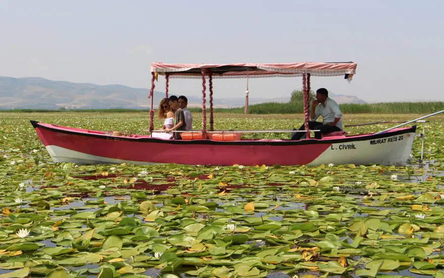 Işıklı Gölü’nde nilüfer turizmi: 100 bin ziyaretçinin gelmesi bekleniyor 