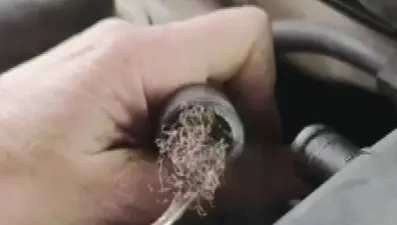 Pes dedirten görüntü: Otomobilin motorundan çıktı