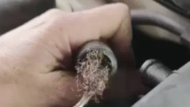 Pes dedirten görüntü: Otomobilin motorundan çıktı