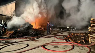 Ahşap palet deposunda yangın