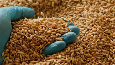 Magnezyumdan D Vitaminine: Hafızayı güçlendiren besinler