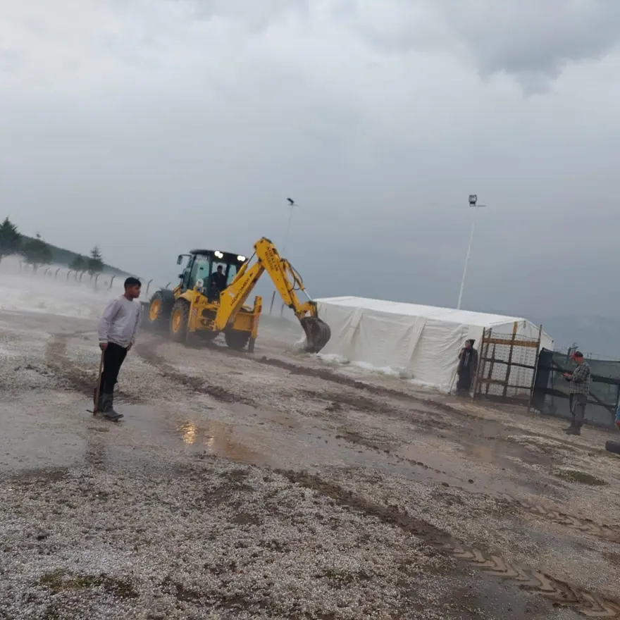 Dolu yağışı ekili arazileri beyaz örtüyle kapladı 4 Dolu yağışı ekili arazileri beyaz örtüyle kapladı 4