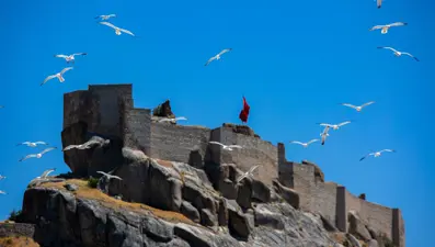 Tunceli'deki Martı Adası binlerce kuşa ev sahipliği yapıyor