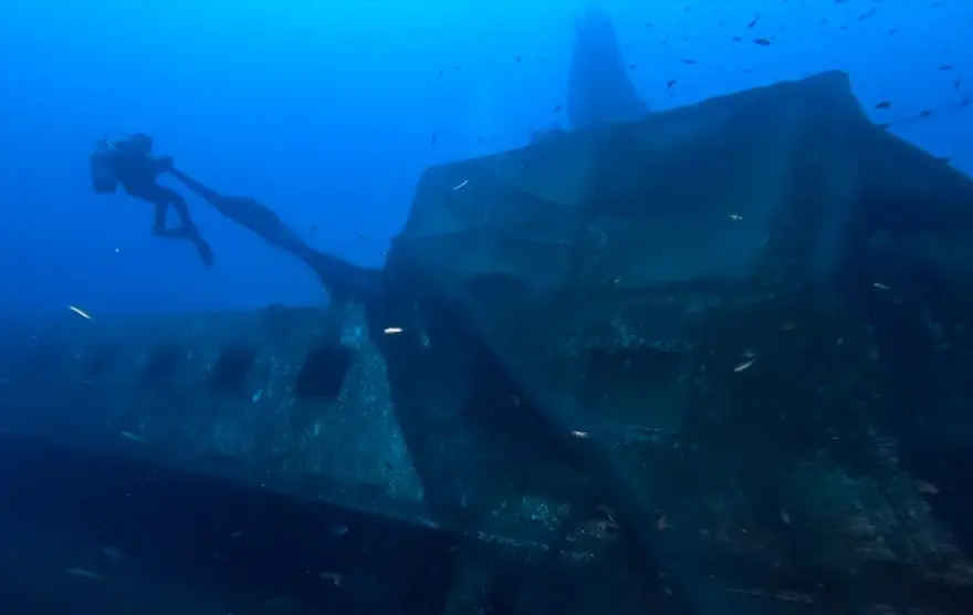 'Hayalet ağ' dalış turizmi için batırılan vapuru kapladı 1