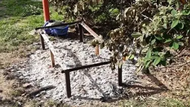 Parktaki kedi evini, içinde kedi varken yaktılar