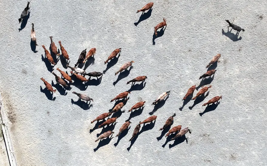 "SON 5 YILDA YÜKSELEN BİR GRAFİĞİMİZ MEVCUT" 4