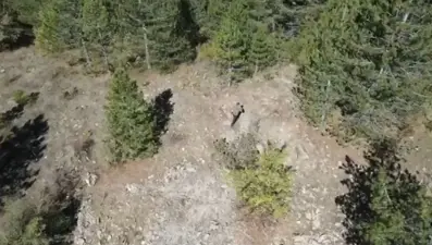 Isparta'da kaçak avcı drone ile yakalandı