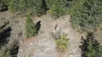 Isparta'da kaçak avcı drone ile yakalandı