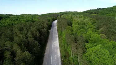 Yalova'da ormanlık alanlara giriş yasaklandı