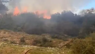 Muğla’da orman yangını: Rüzgarın etkisiyle yayıldı