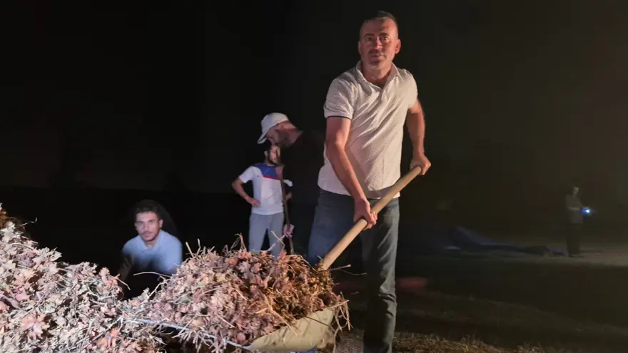 Bölgenin en önemli geçim kaynağı: Hasat bitti, nöbet başladı 6 Bölgenin en önemli geçim kaynağı: Hasat bitti, nöbet başladı 6