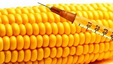 Nişasta bazlı şeker neden zararlı? (Uzak durmak için 10 neden)