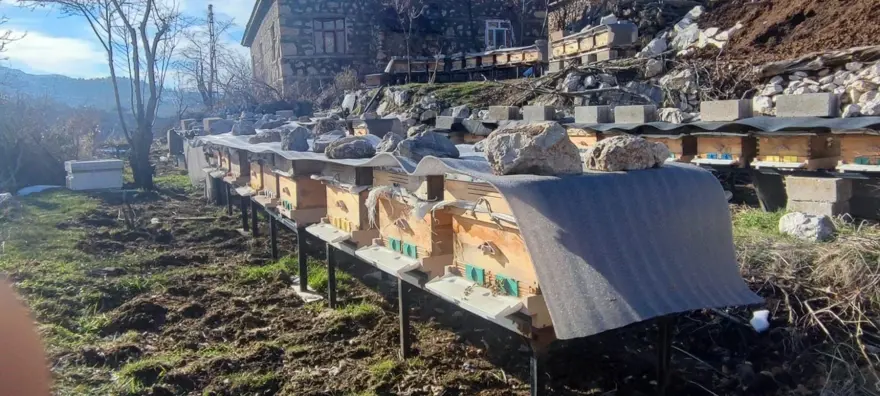 ''BAHAR GÜNÜ GİBİ ÇALIŞIYORLAR'' 2